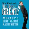 What Makes It Great?: Eine kleine Nachtmusik album lyrics, reviews, download