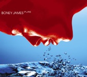 Boney James - You Don't Have To Go Home