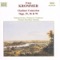 Concerto for Two Clarinets in E Flat Major, Op. 35: II. Adagio artwork