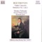 Violin Concerto in D Major, Op. 61 (Candenzas By Kreisler): II. Larghetto artwork