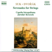 Serenade in E Major, Op. 22: I. Moderato artwork