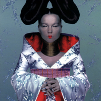 Björk - Homogenic artwork