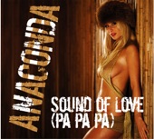 Sound of Love (Pa Pa Pa) Stacccato Vs Blue Nature Remix artwork