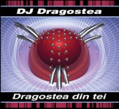 DJ Dragonstea's Original Mix artwork