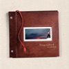 Doug Gillard - Valpolicella