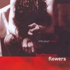 Into Your Heart - Hothouse Flowers