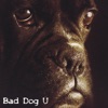 Bad Dog U - It (Wasn't Easy)