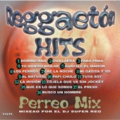 Reggaeton Hits (Perreo Mix) artwork