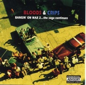 Bloods & Crips - Can't Stop, Won't Stop