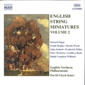 English String Miniatures, Vol. 2 artwork