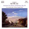 Kuhlau: Sonatas For Flute And Piano, Op. 83 album lyrics, reviews, download