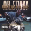 Mr. Stinky - Heaven Must Be Like This
