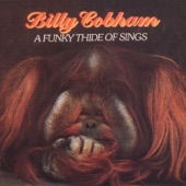 Billy Cobham - Moody Modes