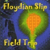 Floydian Slip - Transcend