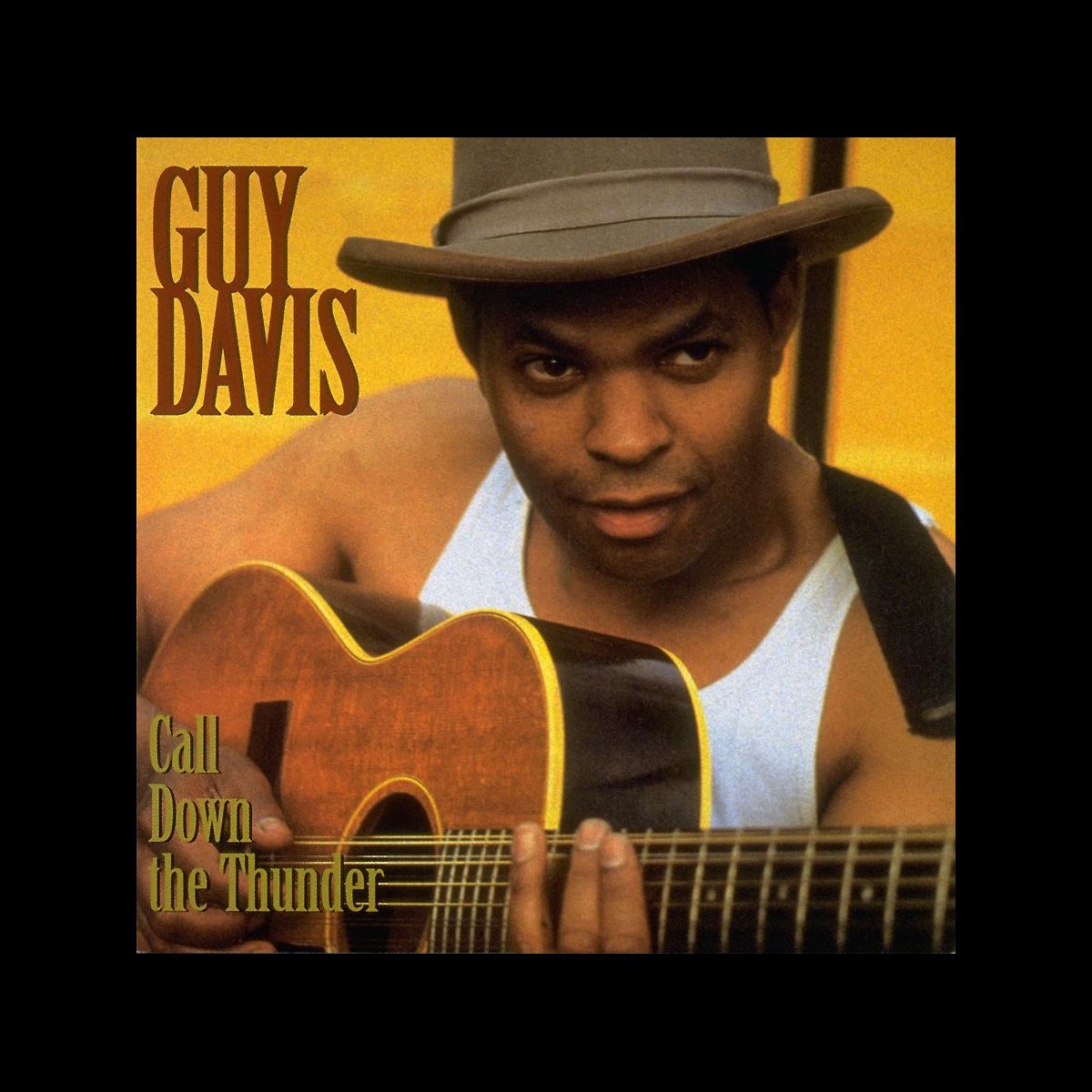 call-down-the-thunder-by-guy-davis-on-apple-music