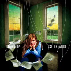 Clean Up Brilliant Box - Ilse DeLange