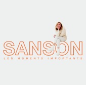 Les moments importants - Best of Véronique Sanson artwork