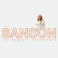 Les moments importants - Best of Véronique Sanson - Véronique Sanson