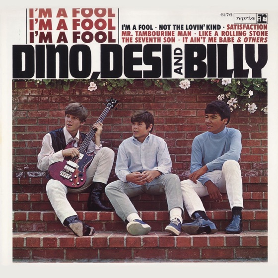 Cover artwork for I'm a Fool