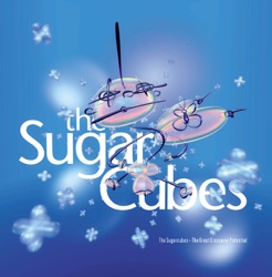 The Sugarcubes - Motorcrash