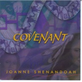 Joanne Shenandoah - Prepare Yourself