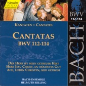 Bach: Cantatas, BWV 112-114 artwork