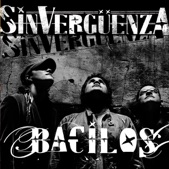 Sinverguenza, 2004