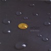 Nexus