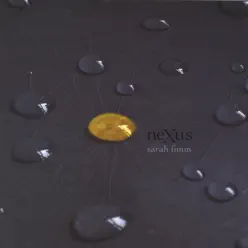 Nexus - Sarah Fimm