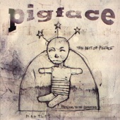 The Best of Pigface artwork