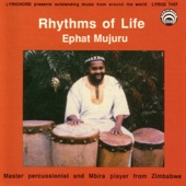 Rhythms of Life artwork