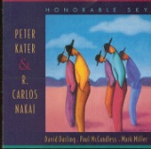 Peter Kater - Honorable Sky