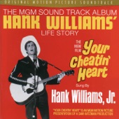 Hank Williams, Jr. - Hey Good Lookin'