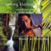 Music As Medicine (With Special Guest Artist R. Carlos Nakai) artwork