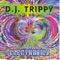 Liquid Crystal - DJ Trippy lyrics