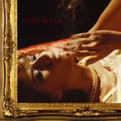 Team Sleep artwork