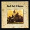 Black Oak Arkansas, 2005