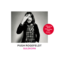 Pugh Rogefeldt - Här Kommer Natten artwork