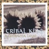 Tribal King