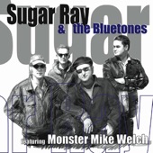 Sugar Ray & the Bluetones artwork