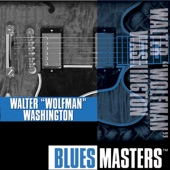 Blues Masters: Walter "Wolfman" Washington artwork