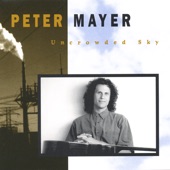 Peter Mayer - Why Pay Your Money