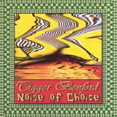 Noise of Choice artwork