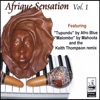 Afrique Sensation V*l. 1