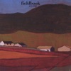 Fieldbook - Hostile Takeover