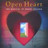 Open Heart the Musical Singer/Songwriter Album album lyrics, reviews, download