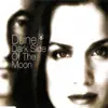 Dark Side of the Moon - EP album lyrics, reviews, download