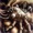 VI VELASCO - Benefit Of The Doubt