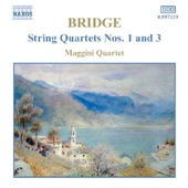 String Quartet No. 1 in E Minor "Bologna": I. Adagio - Allegro appasionato artwork