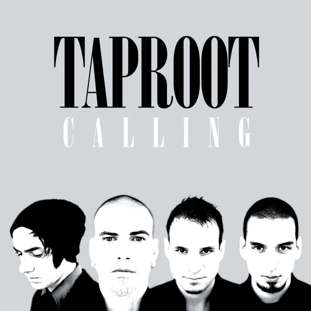 Calling (Single Version)